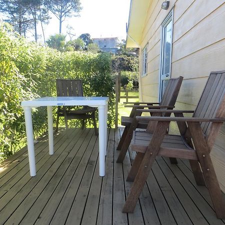 Big Bay Holiday Park Awhitu Rom bilde